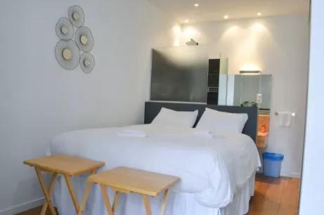 Appartement Centre-Ville Spacieux, Elegant / Climatisation Монпелие Екстериор снимка